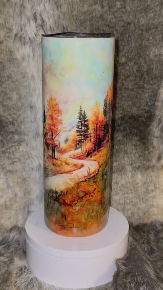 Stainless Steel 20oz Hand Painted Tumbler